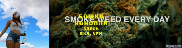 гашик Белокуриха