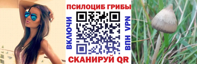 Псилоцибиновые грибы мухоморы  Жердевка 